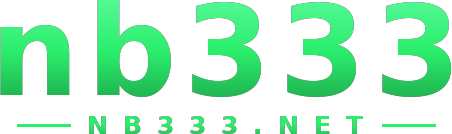 nb333 logo